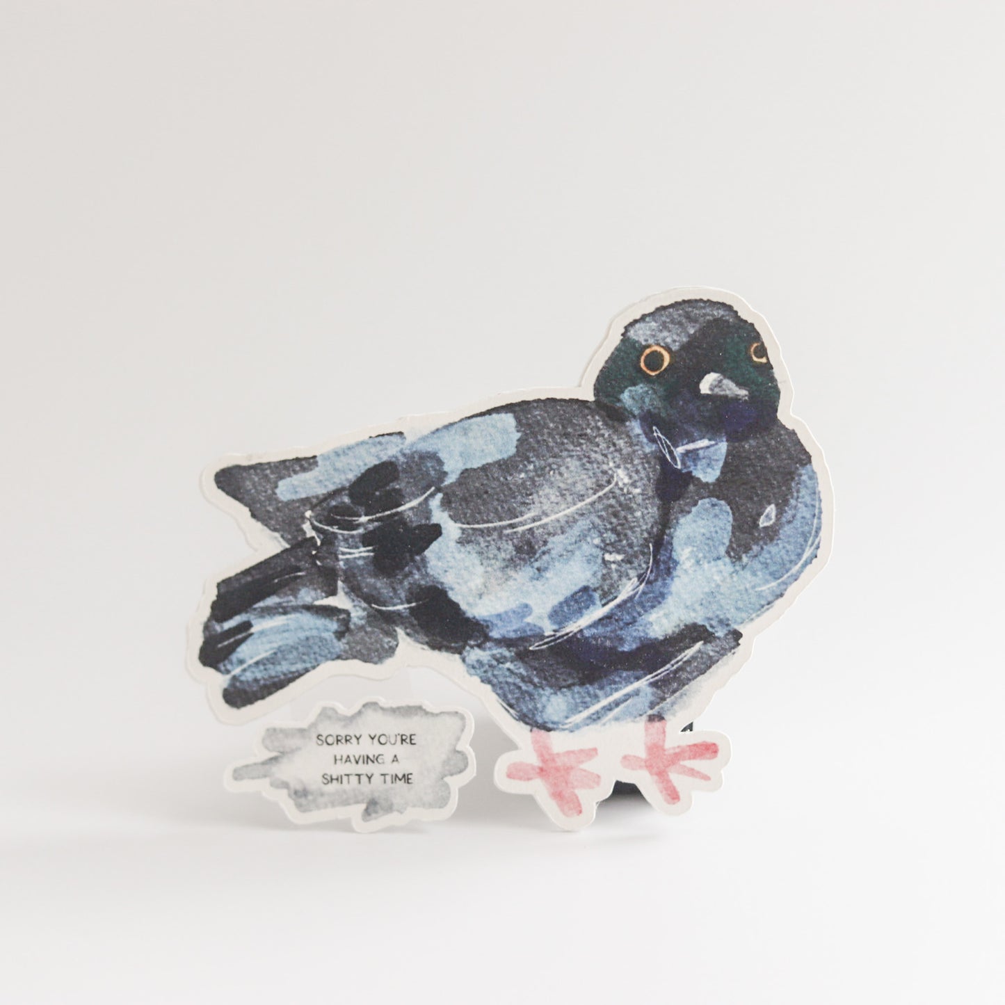 Shitty Time Pigeon