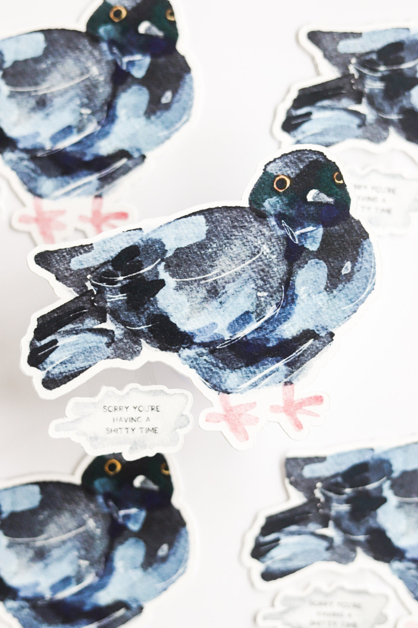 Shitty Time Pigeon