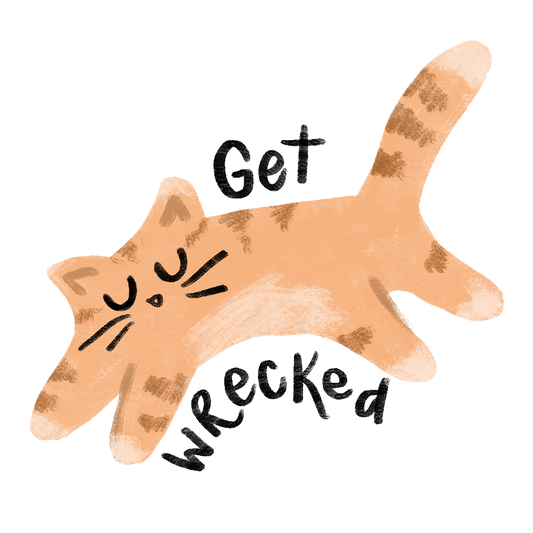 Wrecked Kitten