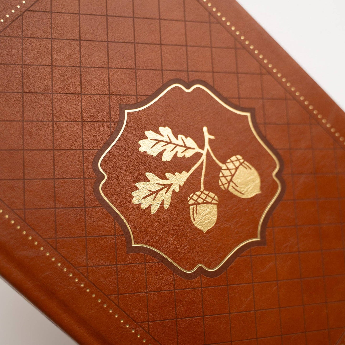 B5 Acorns Dot Grid Notebook