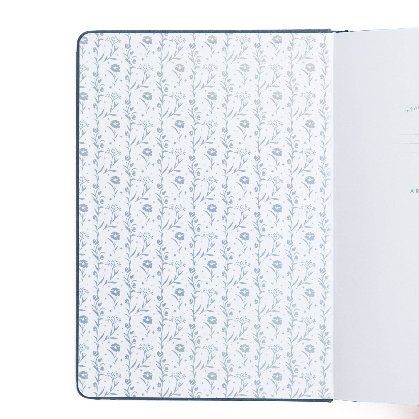 Moonlit Garden | Books